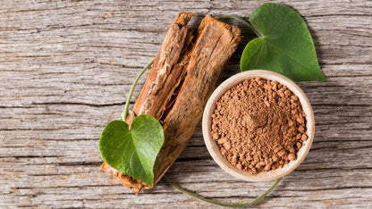 LIONS MANE MUSHROOM: Help boost MEMORY & FOCUS, calm anxiety, paired with Cats Claw Tea for arthritis