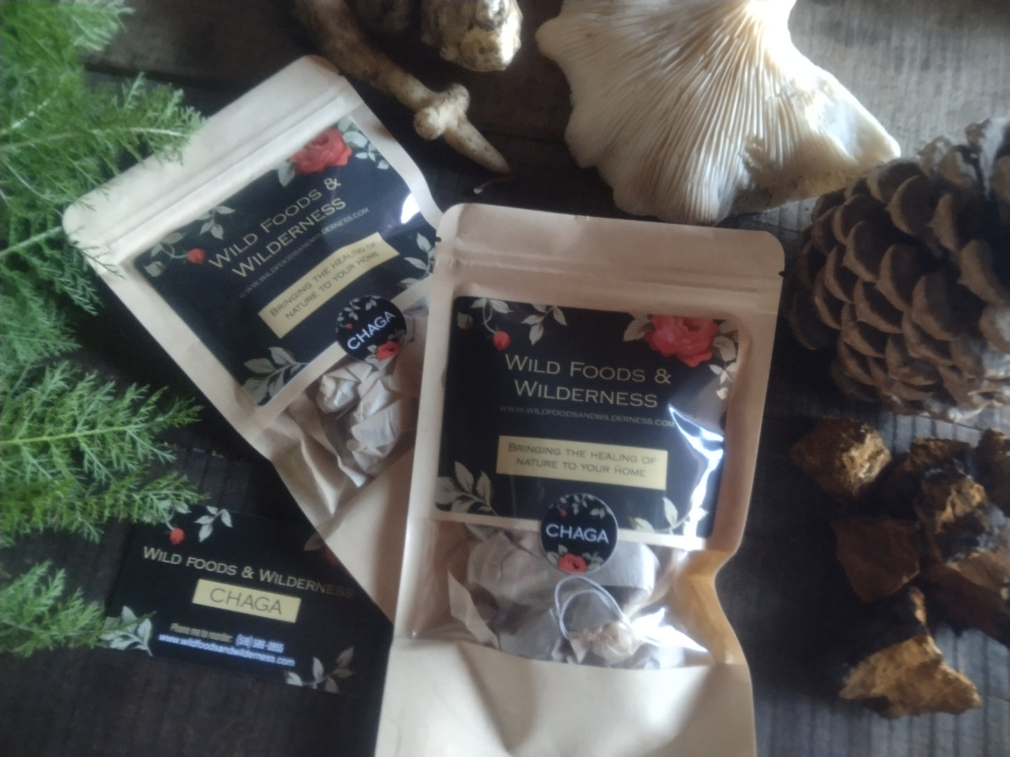 ADIRONDACK CHAGA: WHOLE BODY IMMUNITY,  mild tasting Adirondack, N.Y. American Chaga