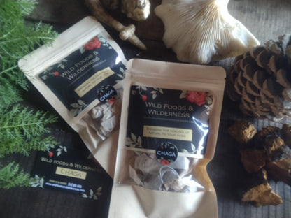 ADIRONDACK CHAGA: WHOLE BODY IMMUNITY,  mild tasting Adirondack, N.Y. American Chaga