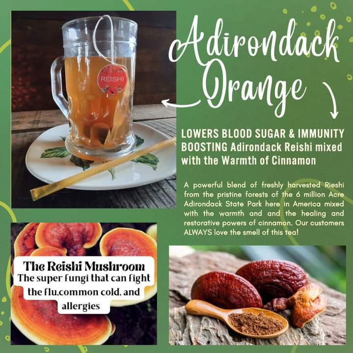 LOWER YOUR BLOOD SUGAR & IMMUNITY BOOSTING Adirondack Reishi mixed with the Warmth of Ceylon Cinnamon