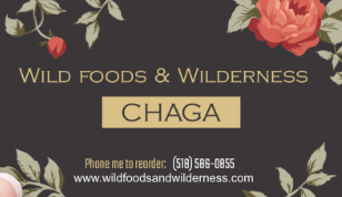 ADIRONDACK CHAGA: WHOLE BODY IMMUNITY,  mild tasting Adirondack, N.Y. American Chaga