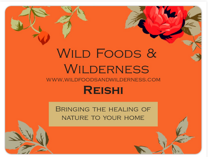 LOWER YOUR BLOOD SUGAR & IMMUNITY BOOSTING Adirondack Reishi mixed with the Warmth of Ceylon Cinnamon