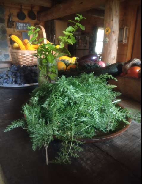 Great for SLEEPLESS NIGHTS & DIGESTION, Wild Harvested Adirondack Yarrow & Mint,