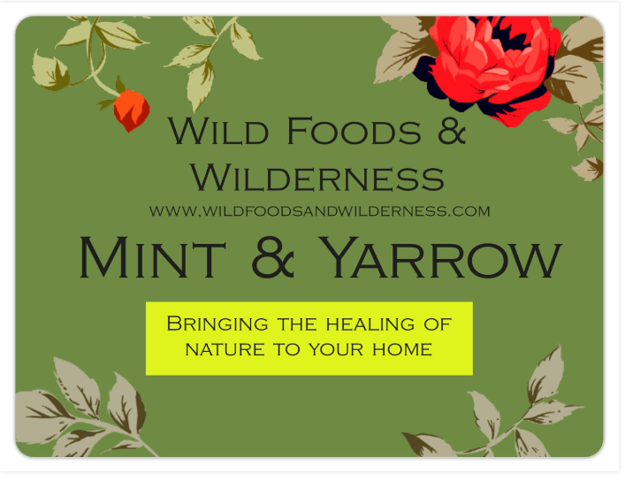 Great for SLEEPLESS NIGHTS & DIGESTION, Wild Harvested Adirondack Yarrow & Mint,