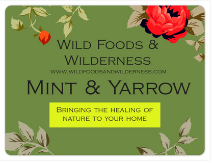 Great for SLEEPLESS NIGHTS & DIGESTION, Wild Harvested Adirondack Yarrow & Mint,