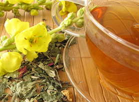 Fight coughs and colds and flu! Wild foraged Mullein leaf with added Bee Pollen For Stamina!