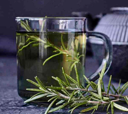 Earthy Tones of Rosemary, the herb of remembrance, a potential cognition enhancer for Alzheimer's Disease.