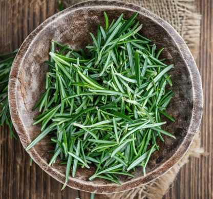 Earthy Tones of Rosemary, the herb of remembrance, a potential cognition enhancer for Alzheimer's Disease.