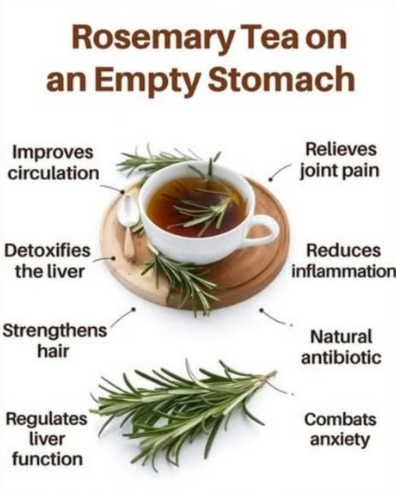 Earthy Tones of Rosemary, the herb of remembrance, a potential cognition enhancer for Alzheimer's Disease.