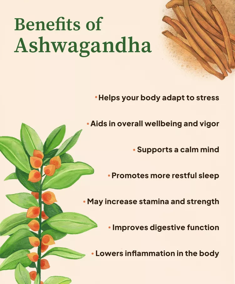 Help Relieve Stress & Anxiety, Boost Your Energy & Vitality with Ashwagandha and Mint