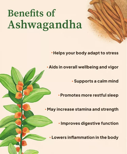 Help Relieve Stress & Anxiety, Boost Your Energy & Vitality with Ashwagandha and Mint