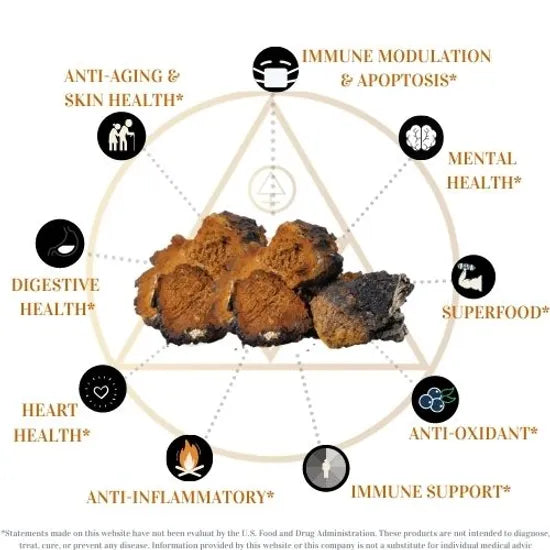 LOWER YOUR BLOOD SUGAR & IMMUNITY BOOSTING Adirondack Reishi mixed with the Warmth of Ceylon Cinnamon