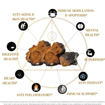 LOWER YOUR BLOOD SUGAR & IMMUNITY BOOSTING Adirondack Reishi mixed with the Warmth of Ceylon Cinnamon