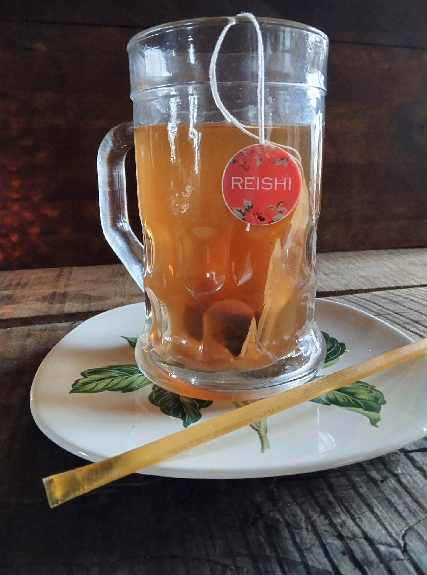 LOWER YOUR BLOOD SUGAR & IMMUNITY BOOSTING Adirondack Reishi mixed with the Warmth of Ceylon Cinnamon