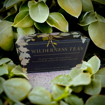 Gift Box of 5 Adirondack Mint and Chaga and 5 Reishi & Cinnamon Tea bags