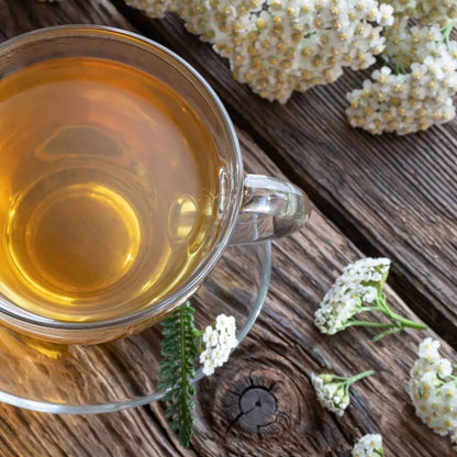 Great for SLEEPLESS NIGHTS & DIGESTION, Wild Harvested Adirondack Yarrow & Mint,